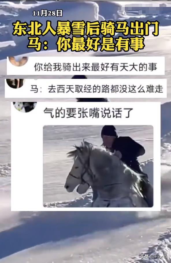 东北大哥暴雪后骑马出门 马：你骑我出来最好是有天大的事