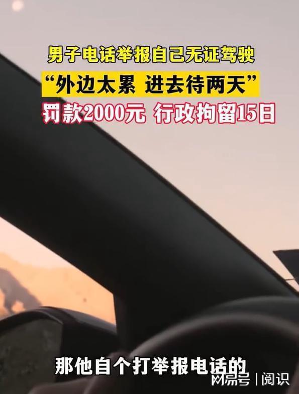 24岁男子因太累举报自己无证驾驶 压力大到想“强制休假”
