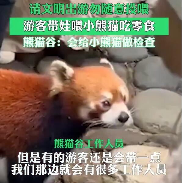 视频截图