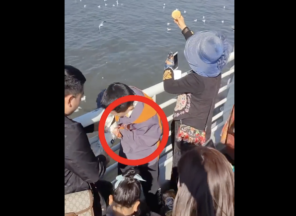 父母帮小男孩抓海鸥强行塞进塑料瓶
