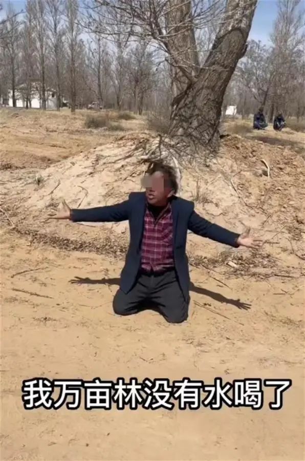 央媒评万亩防沙树被煤矿断水，治沙人家属发声，当地镇政府回应
