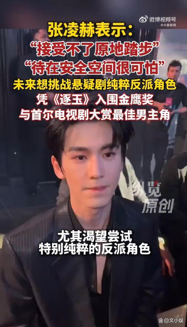 张凌赫回应想演反派 挑战自我新高度