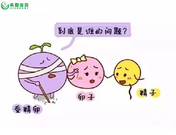 希恩宝贝:继发性不孕怎么办？哈萨克斯坦试管婴儿专家来支招