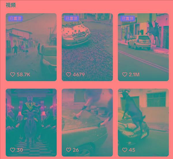 刷到一个又一个假视频后 我不敢相信互联网了