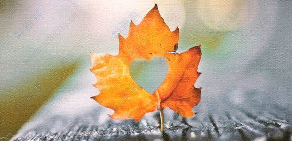 2025年下半年软件设计师考试科目有哪些