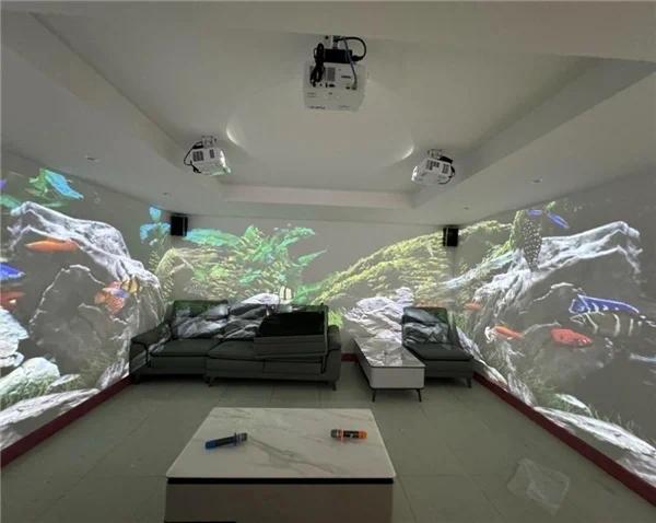 轻，不止于轻｜NEC飞鱼系列激光投影“赢”战多元场景应用