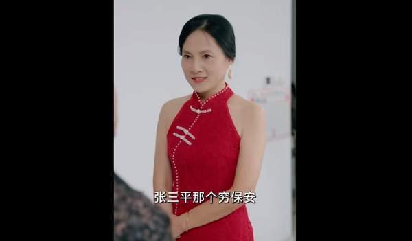 拒付天价彩礼后我终于父凭女贵主演名单&剧情简介