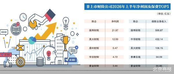 增收不增利的非上市财险公司