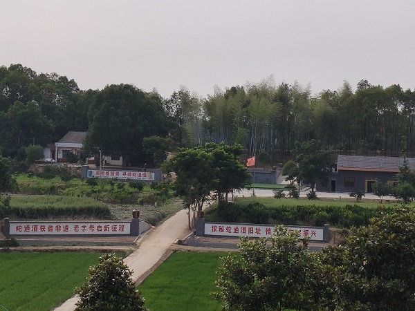 省级非遗“蛇通酒配制技艺”非遗工坊旧址重启暨“蛇通酒·善清园”文化广场落成！