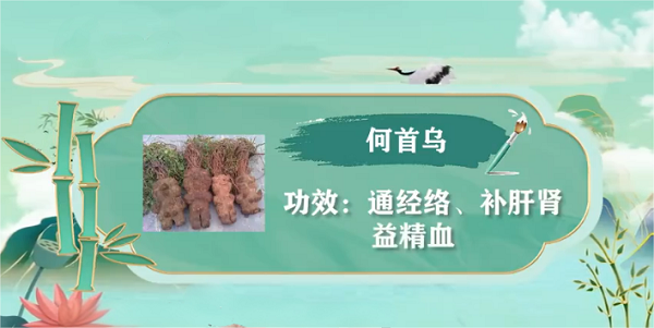 国医传人于晓津：十二代古方长寿饮 揭开不生病秘诀