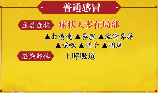御医派传承人史士昊：简易“毛巾操”呵护肺健康