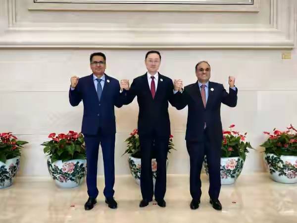 研究员：印度霸主梦碎或主动出局 新组织冲击南亚格局