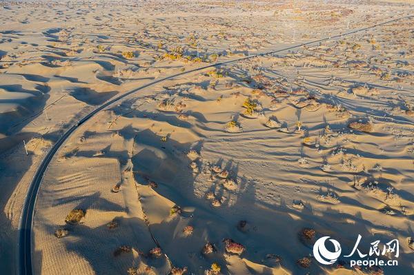 新疆达里雅布依村易地扶贫搬迁奔向小康生活—— 塔克拉玛干腹地矗起“沙漠新村”