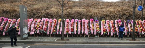 朴槿惠出狱前粉丝送500个花环 一眼望不到头
