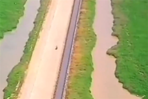 江西最美水上公路变草原公路