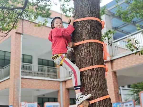 小孩爬树图片图片