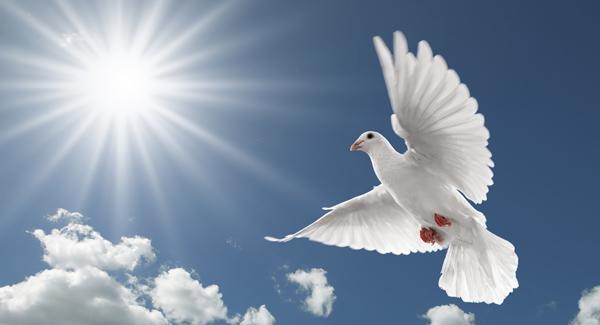 男子套圈3000元套中2辆小汽车，看老板不容易只带走了一辆