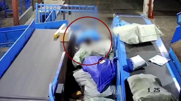 60岁分拣工猝死不算工伤如何维权？“不属于劳动者”引爆舆论