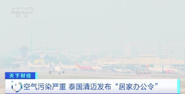 泰国清迈发布居家办公令，游客：被这里的空气污染惊呆了