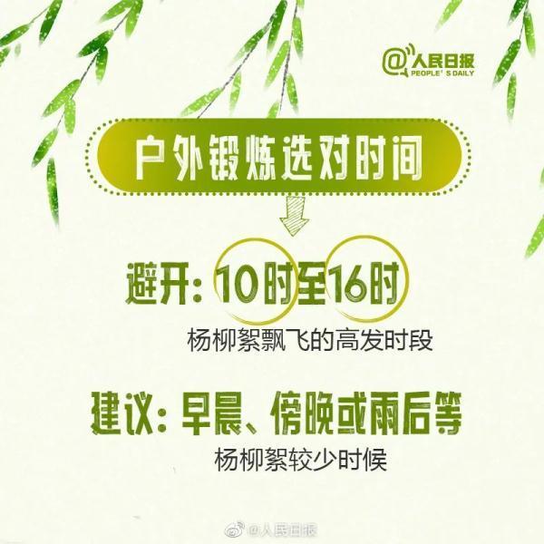 敏感人群注意！北京杨柳飞絮第二个高发期来临 六环内高发时间持续至5月3日！