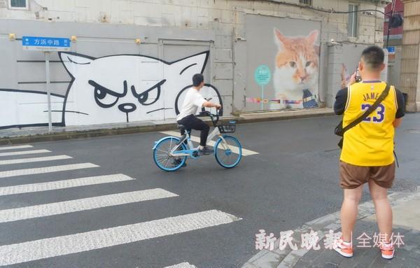 上海老街被巨型猫咪包围 街头艺术气息浓厚快来打卡！