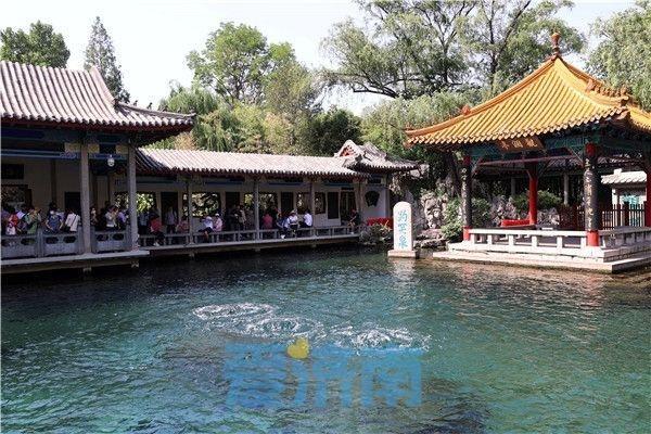趵突泉地下水位六连降 仅比黄色预警水位线高11厘米