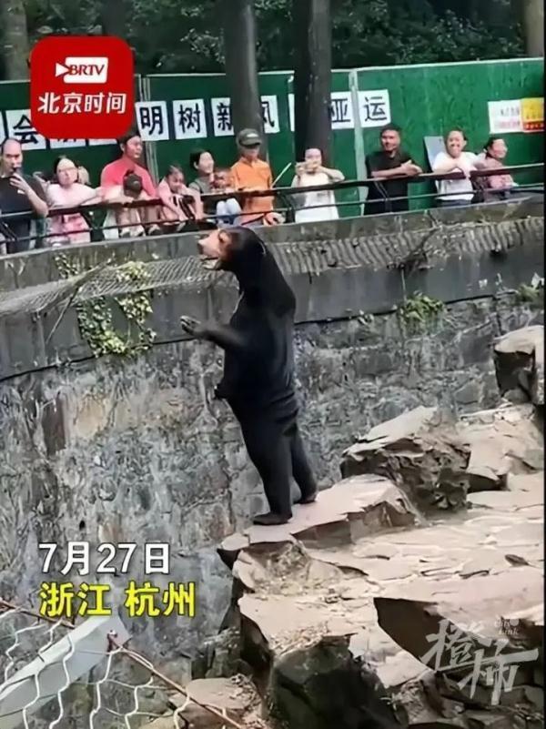动物园回应黑熊争议事件：是马来熊，不是黑熊不是人扮的！