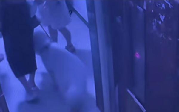 牵狗坐电梯被同乘男子辱骂殴打被扒衣服至裸露出右侧