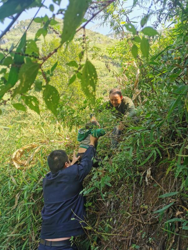 “猴出没？”3岁女孩被野猴抓走，民警紧急救援