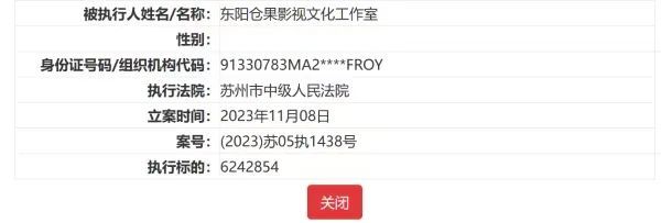 知名女演员许晴独资工作室被执行624万元