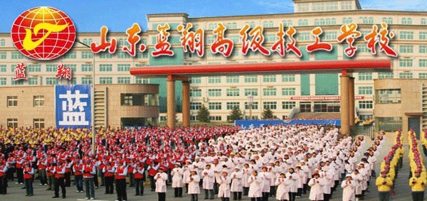 山东蓝翔技校被强制执行18亿