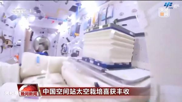 中国空间站的“菜园子”收菜了 中秋采摘太空生菜