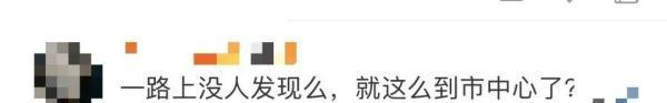 一男子骑马进上海闹市被处罚