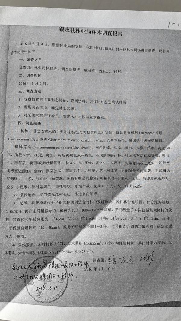 完美电竞男子售卖其父种植的26棵香樟树获刑 人工栽种香樟算不算国家重点保护植物？(图3)