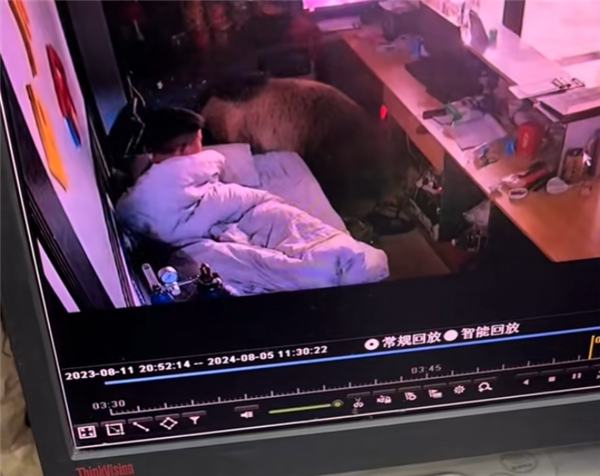 男子凌晨睁眼床边站了一头熊 惊险逃生凌晨3点