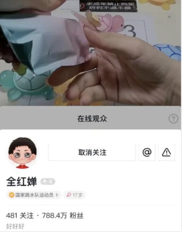 硬控全红婵的乌龟盲盒，将“喂出”上市公司“卡游” 潮玩经济新热点