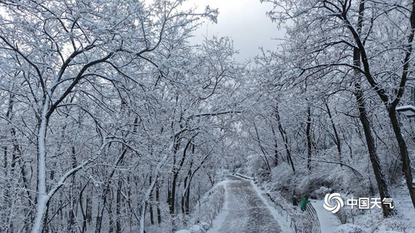 雪花又大范围派送中！部分地区大到暴雪