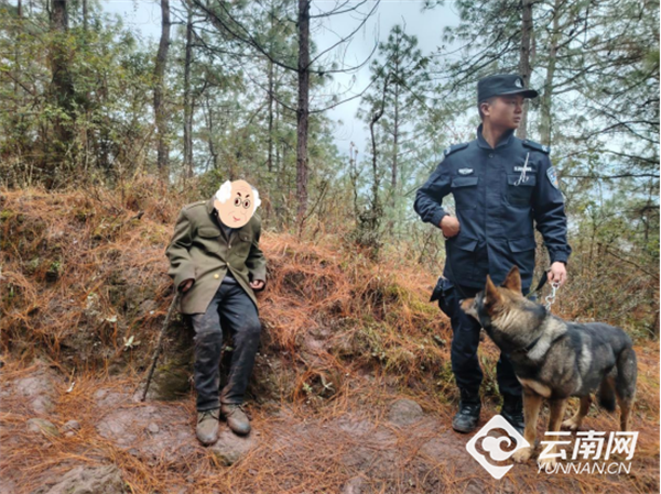 1岁警犬于深山寻回走失老人 新秀立功获赞