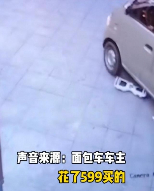 太冤了,！平衡車溜車鉆到車底被壓 司機被判賠