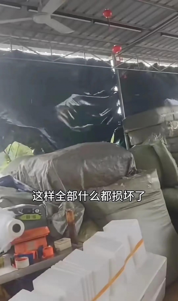 全紅嬋老家新房已開始澆筑 施工到明年才能入住