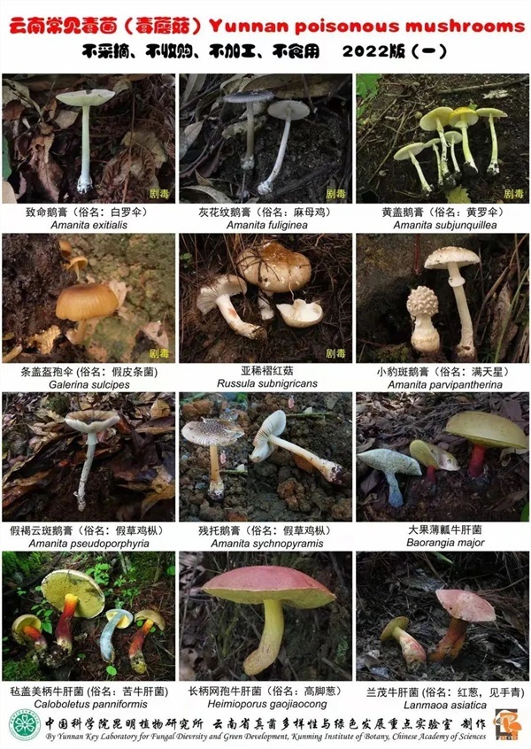 男子住酒店后報(bào)警：門朝我飛過來了