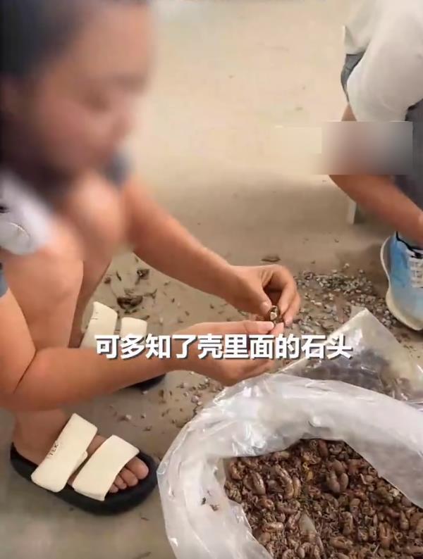 女子同情老人高价收购知了壳被坑