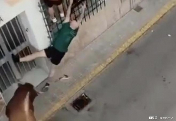 悲剧发生！西班牙奔牛节一男子遭牛连顶数角身亡