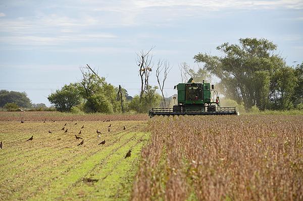 美财长收到短信：刚救助阿根廷，米莱就卖给中国大豆…美国豆农不满情绪发酵