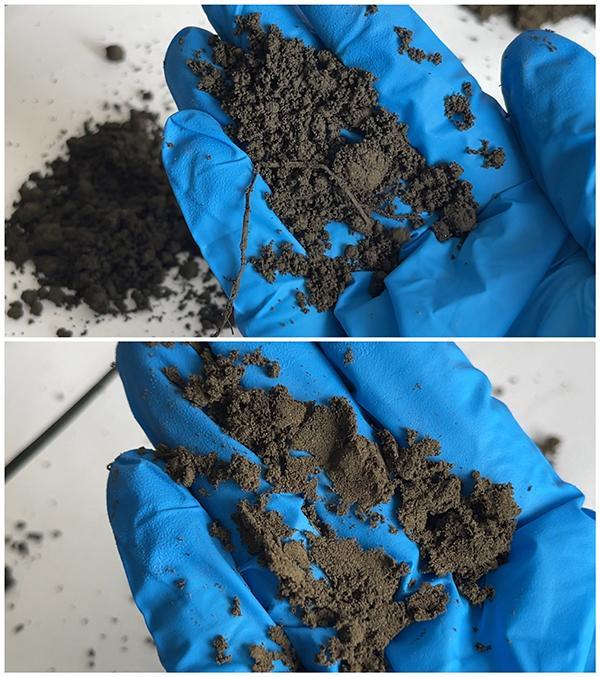 毒营养土搅乱市场何以监管处罚 标准缺失成难题