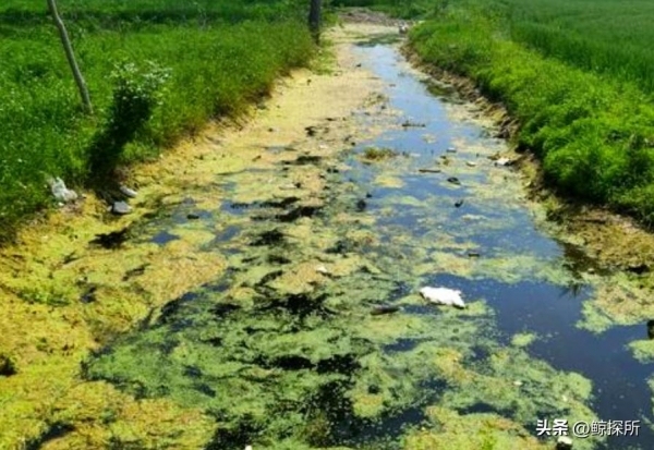 我國科學(xué)家重要發(fā)現(xiàn)或顛覆經(jīng)典理論！海洋里竟然藏著一個(gè)瞞了全人類近百年的