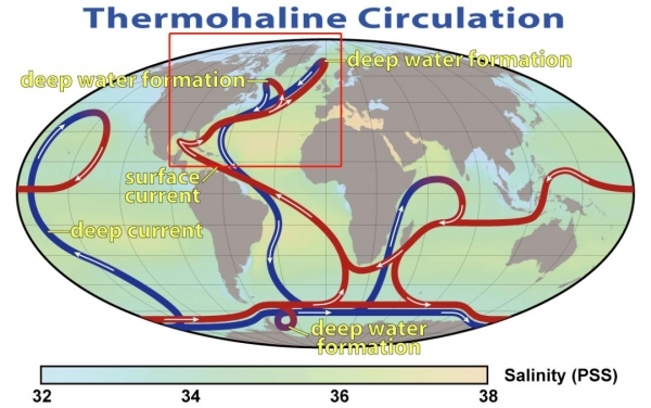 4280米深海采矿，拉走3000多吨多金属结核，如何影响海洋生物多样性？