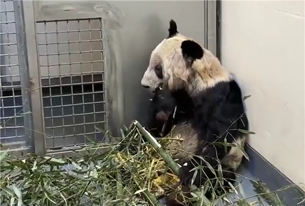 ��èѾѾ�ع����������Ҹ��� ��������95����