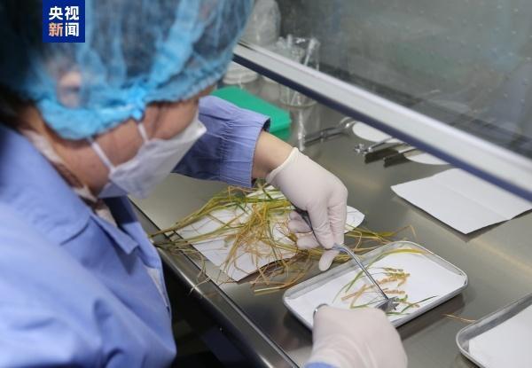 航天员为啥要在太空当“菜农” 生命保障与科研探索