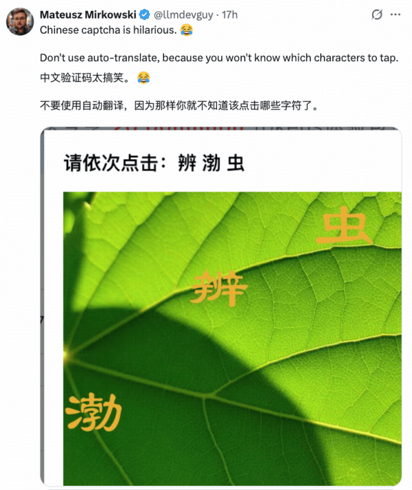 为用上中国AI老外连夜自学中文：只为抢购Coding Plan